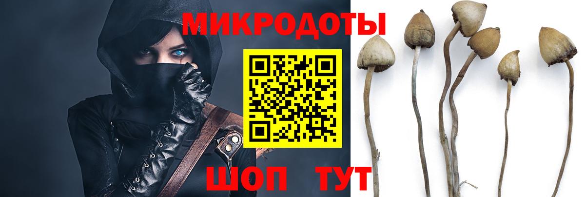 Майкоп  Псилоцибиновые грибы мухоморы  Вход с VPN 